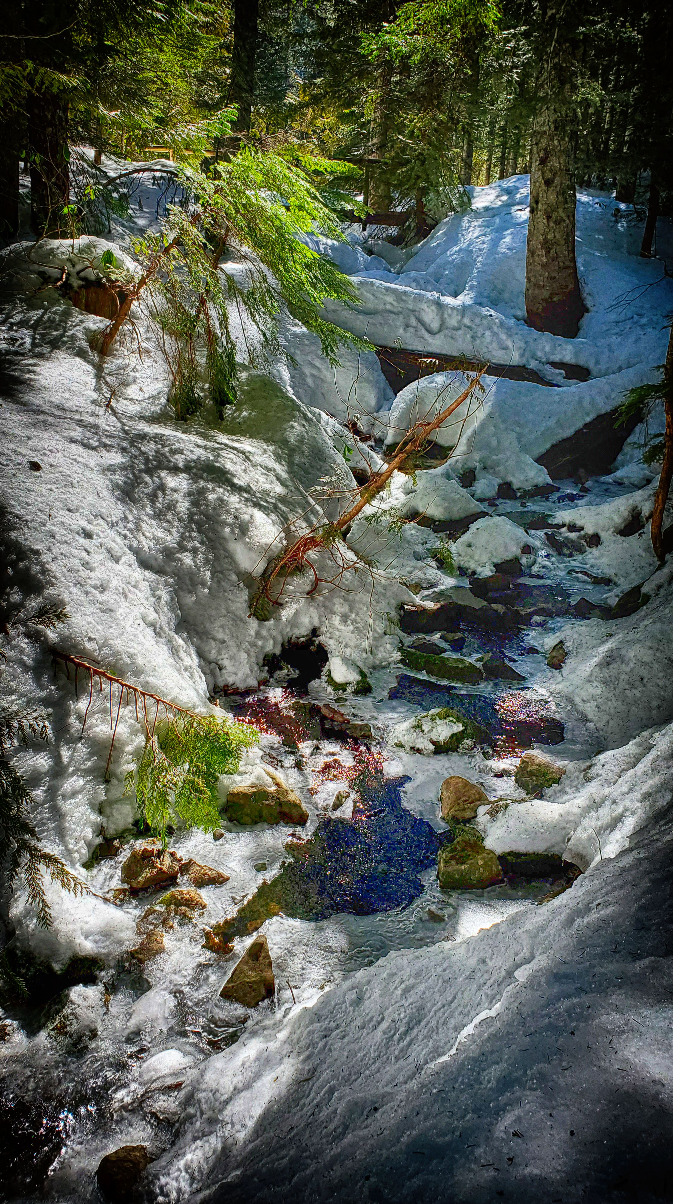 Snowy Creek 